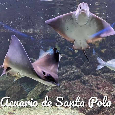 Best Holiday Santa Pola Esterno foto