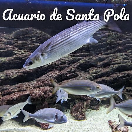 Best Holiday Santa Pola Esterno foto