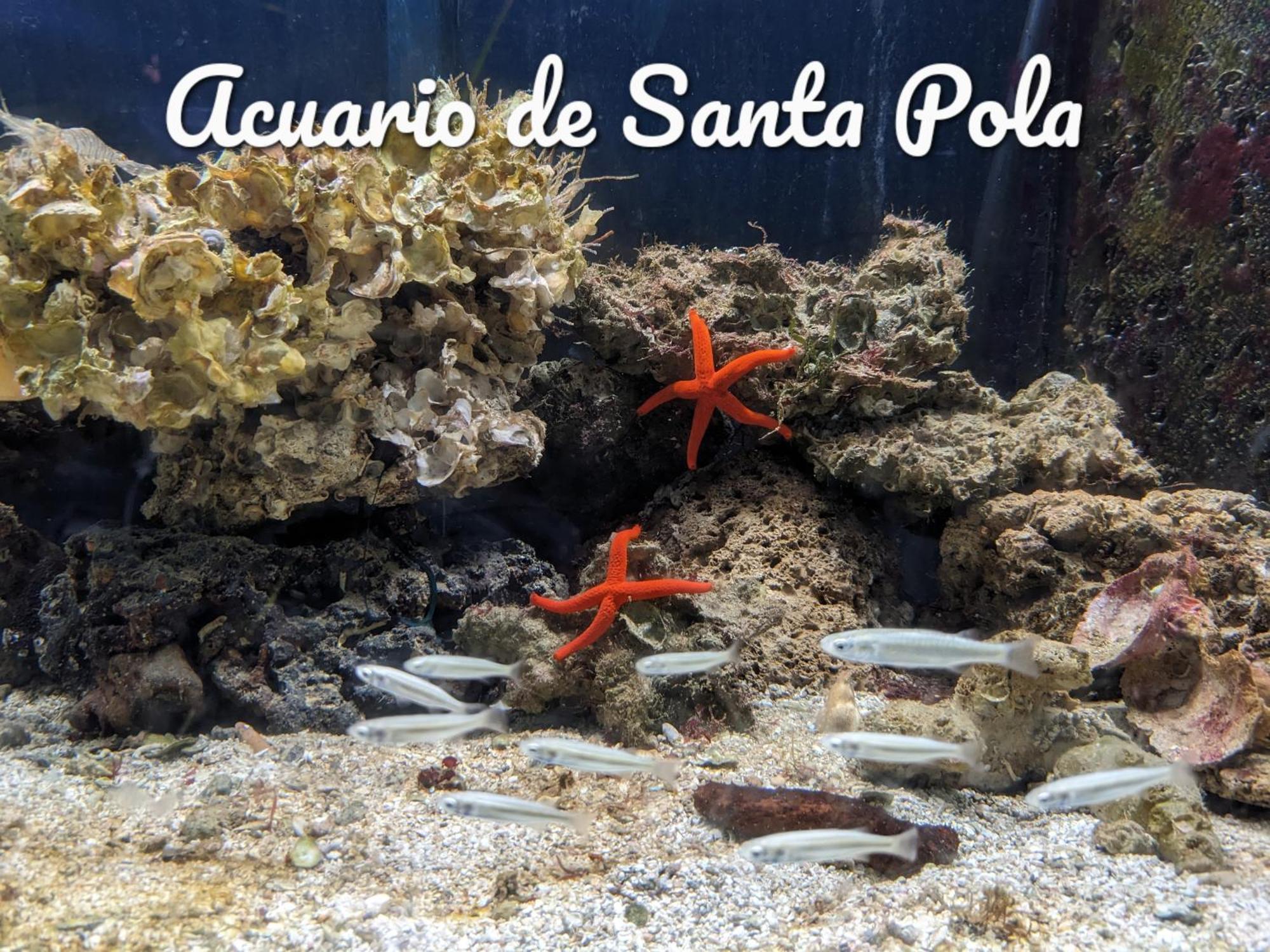 Best Holiday Santa Pola Esterno foto